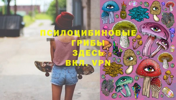 дмт Верея