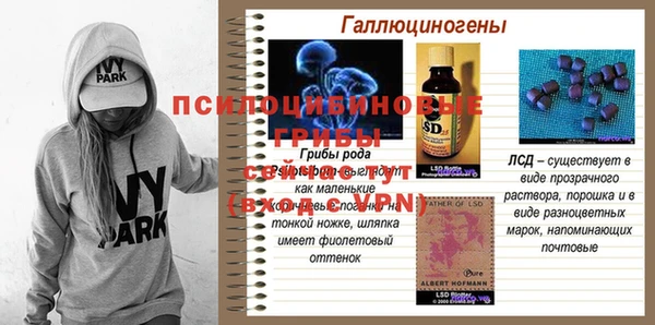 дурь Верхний Тагил