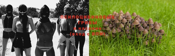 дмт Верея