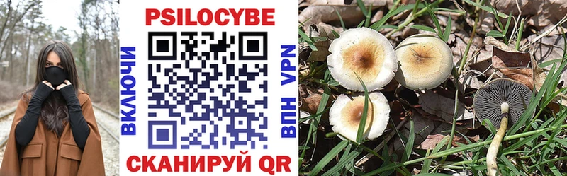 Псилоцибиновые грибы мухоморы  дарнет шоп  Выборг 
